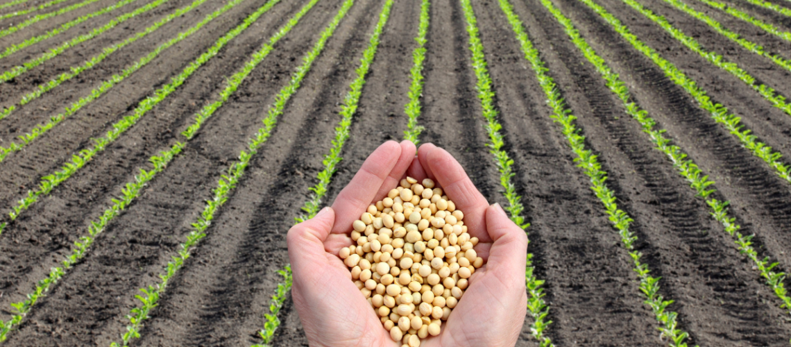 Wygrana w sporze o odszkodowanie z ubezpieczenia upraw rolnych